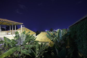 Backyard with Bananas