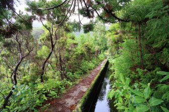 Levada